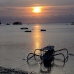 sunset_nlem_v_0076_bal3216.jpg